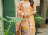 Premium 2 piece kurta set