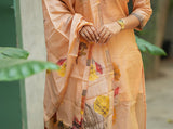 Premium 2 piece kurta set