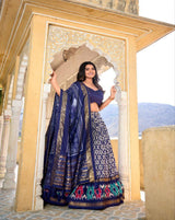 Tussar Silk Ikkat Patola Lehenga Choli Set