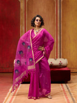 Cotton handloom weaving saree