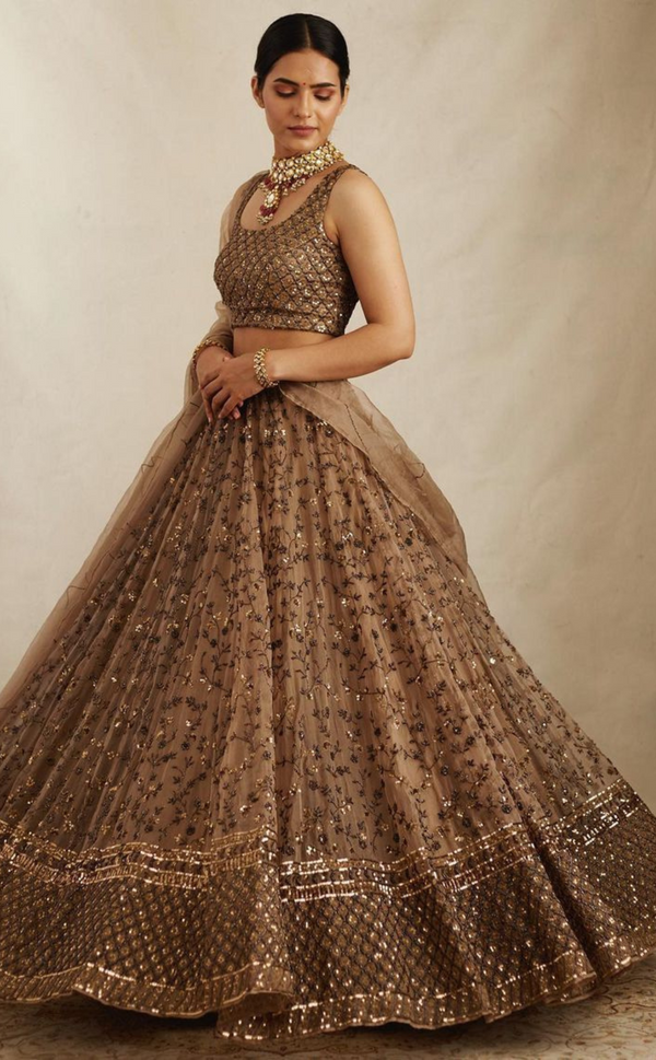 Brown Lehenga Choli with Dupatta & Ethnic Detailing