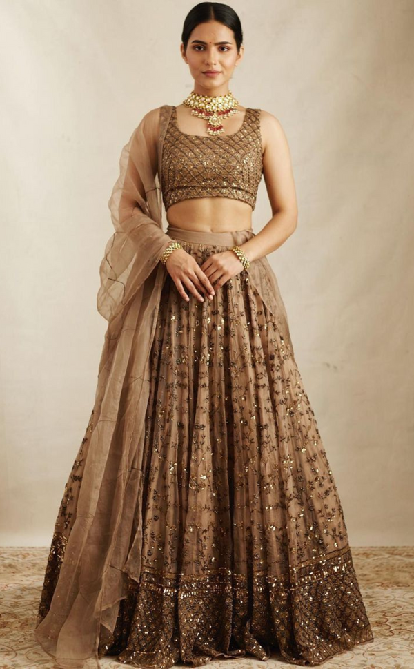 Brown Lehenga Choli with Dupatta & Ethnic Detailing