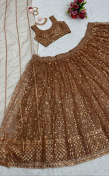 Brown Lehenga Choli with Dupatta & Ethnic Detailing