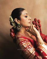 Indo-Western Lehenga Set