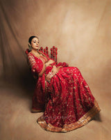 Indo-Western Lehenga Set